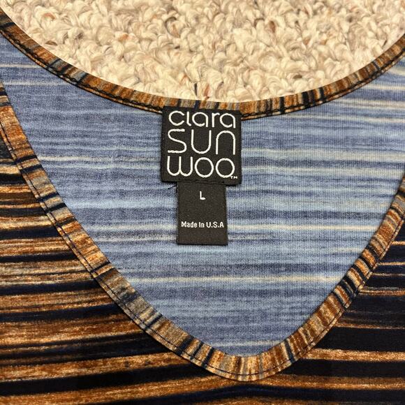 Clara Sun Woo Ombre Striped V Neck Tunic Top Sz L Split Hem Brown Blue Casual - Picture 2 of 6